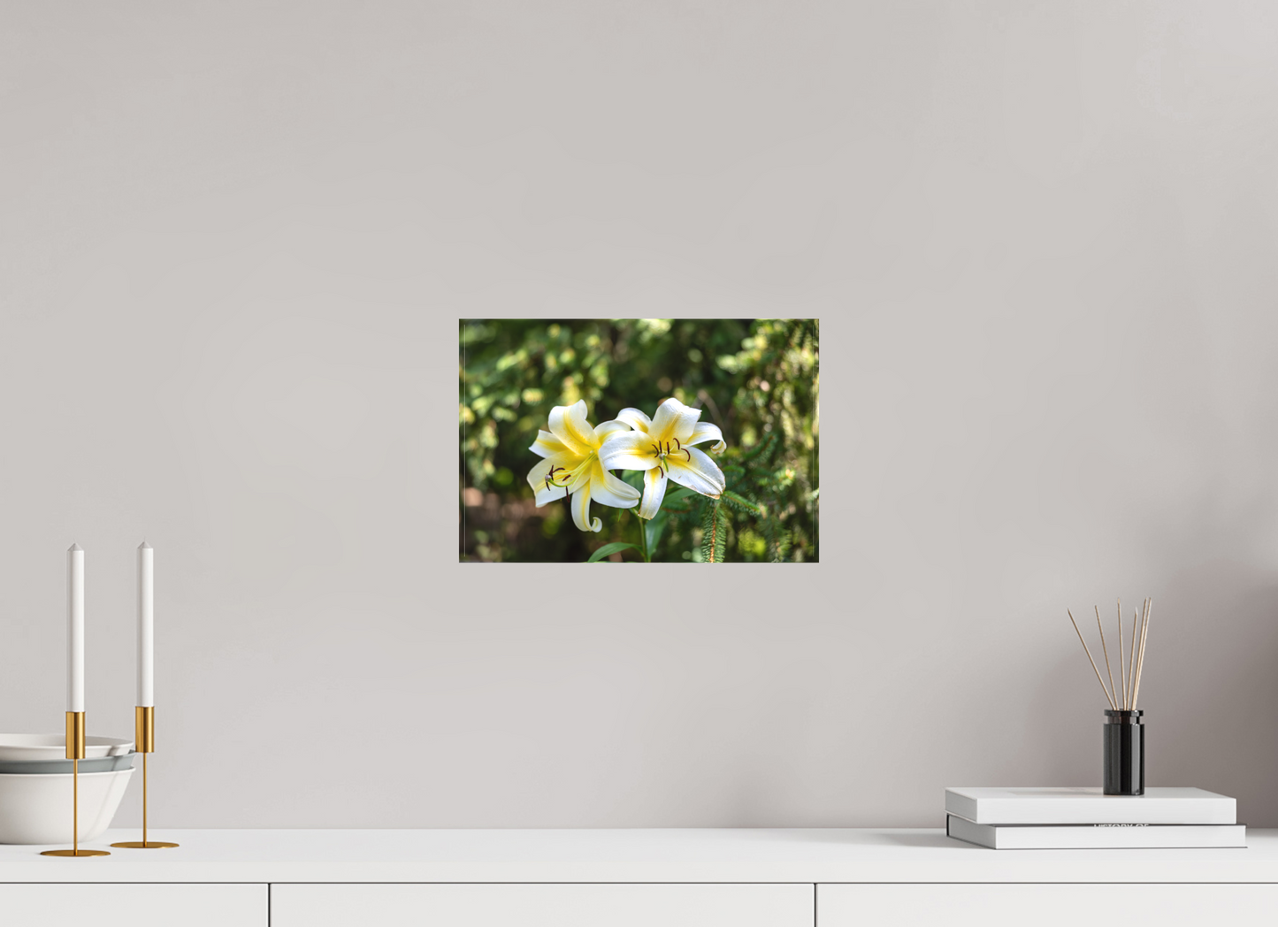 Gold Band Lily