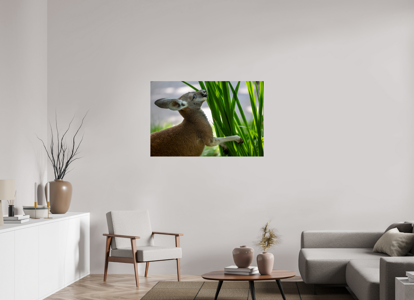 Kangaroo