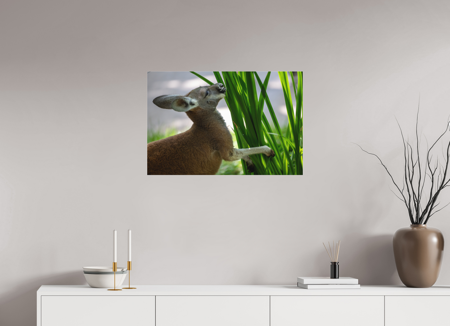 Kangaroo