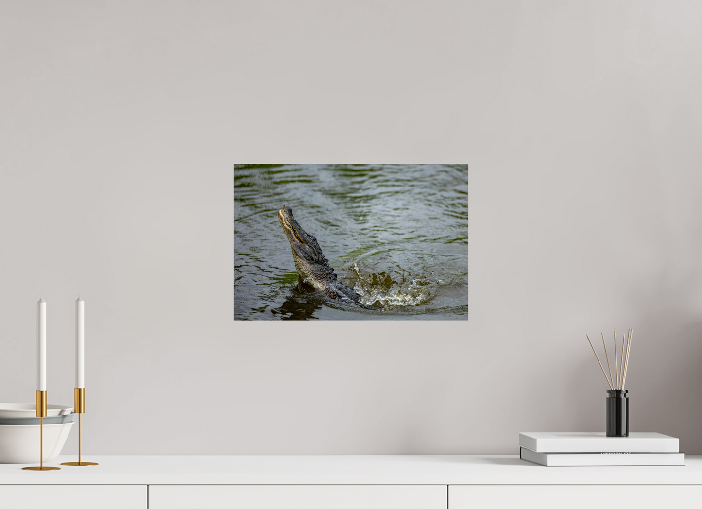 Jumping Gator