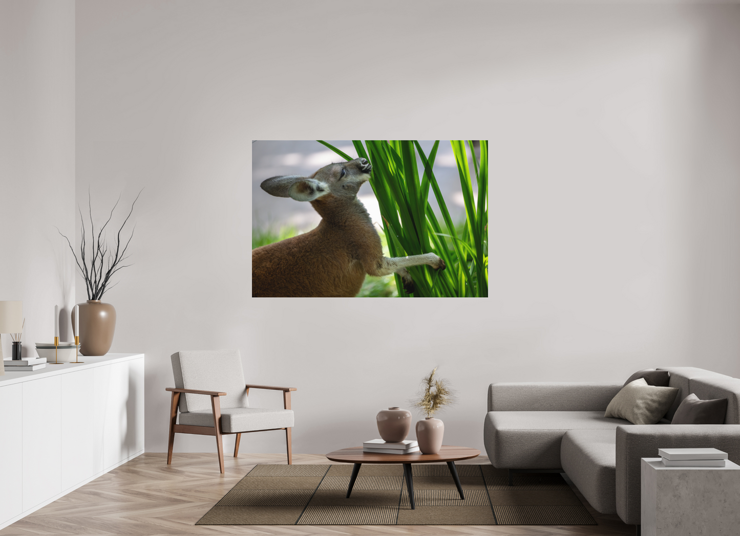 Kangaroo