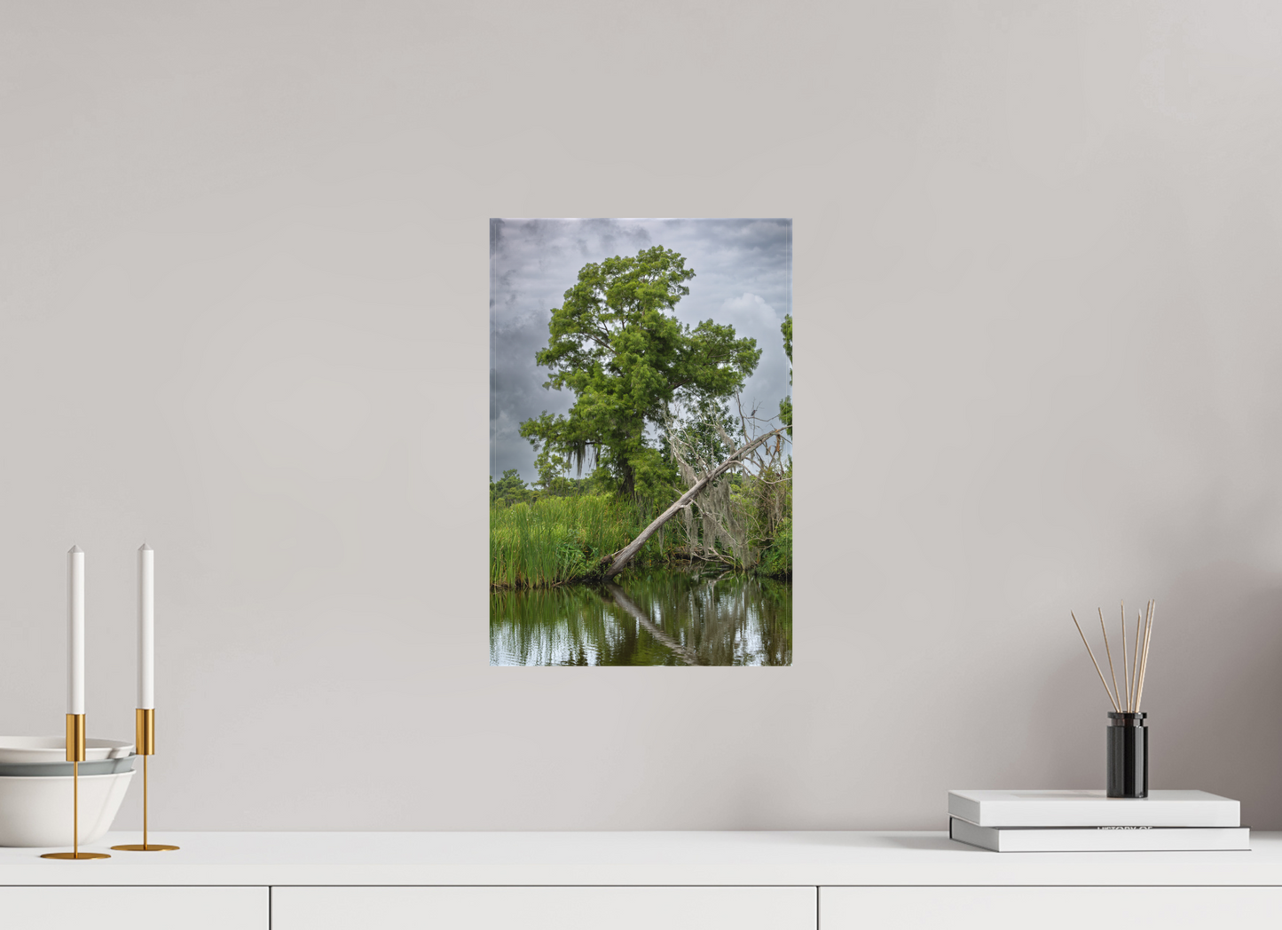 Lafitte Swamp Cypress