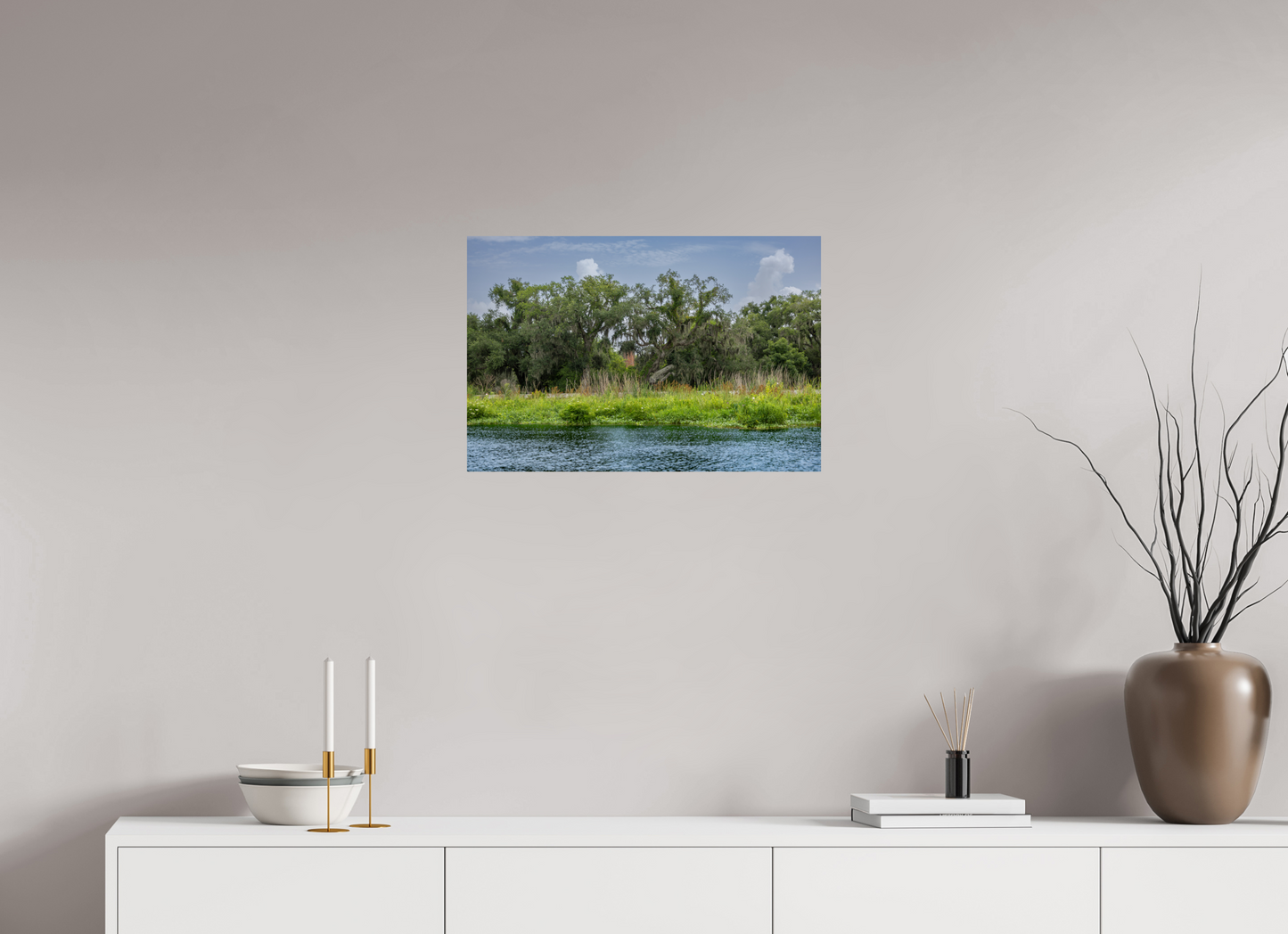 Lafitte Swamp with Visible Structure
