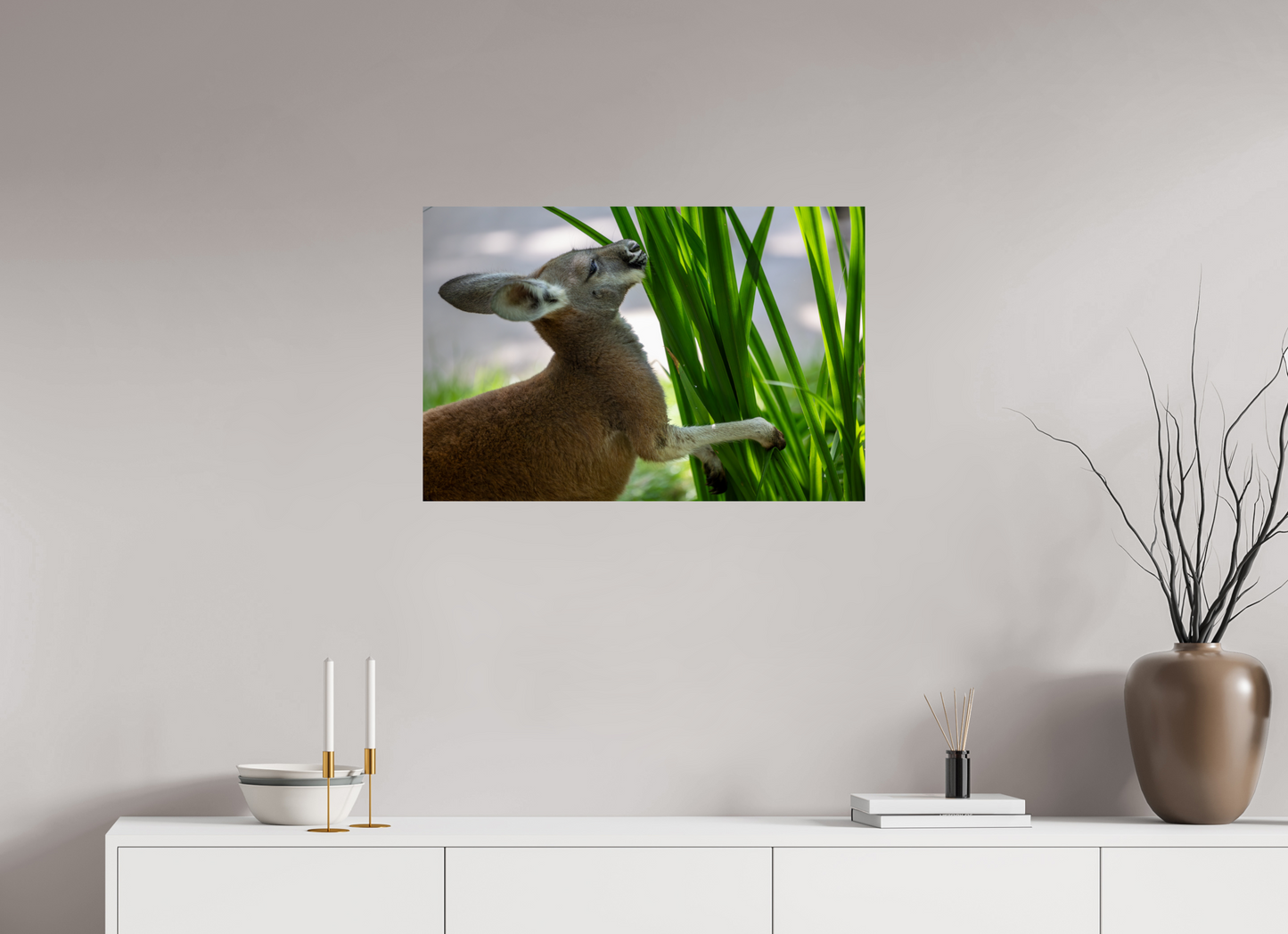 Kangaroo