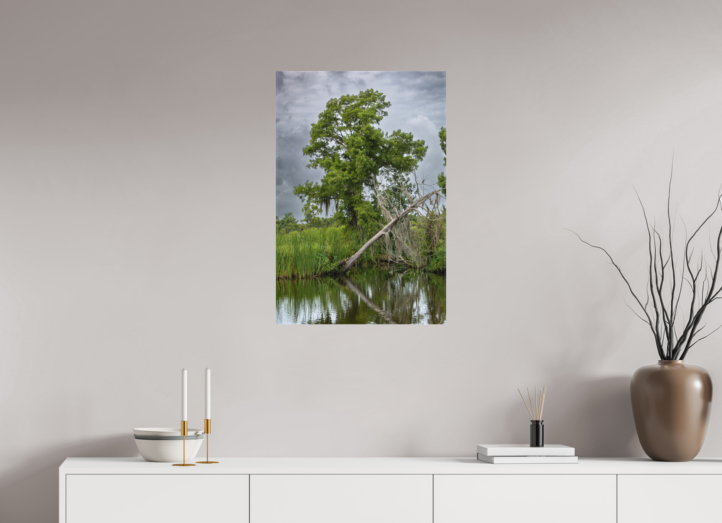 Lafitte Swamp Cypress