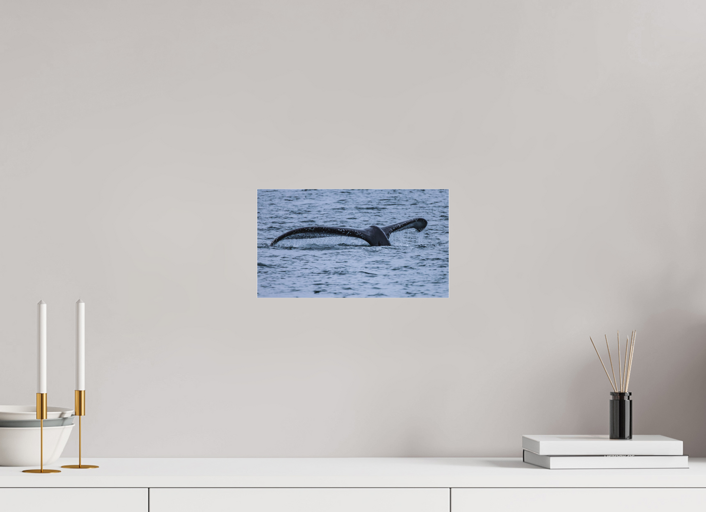 Whale Tail