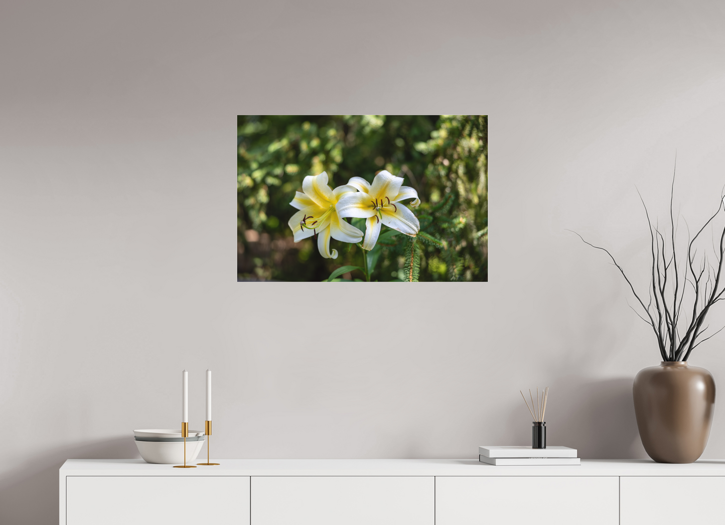 Gold Band Lily