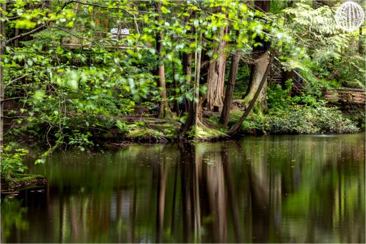Reflecting Pool