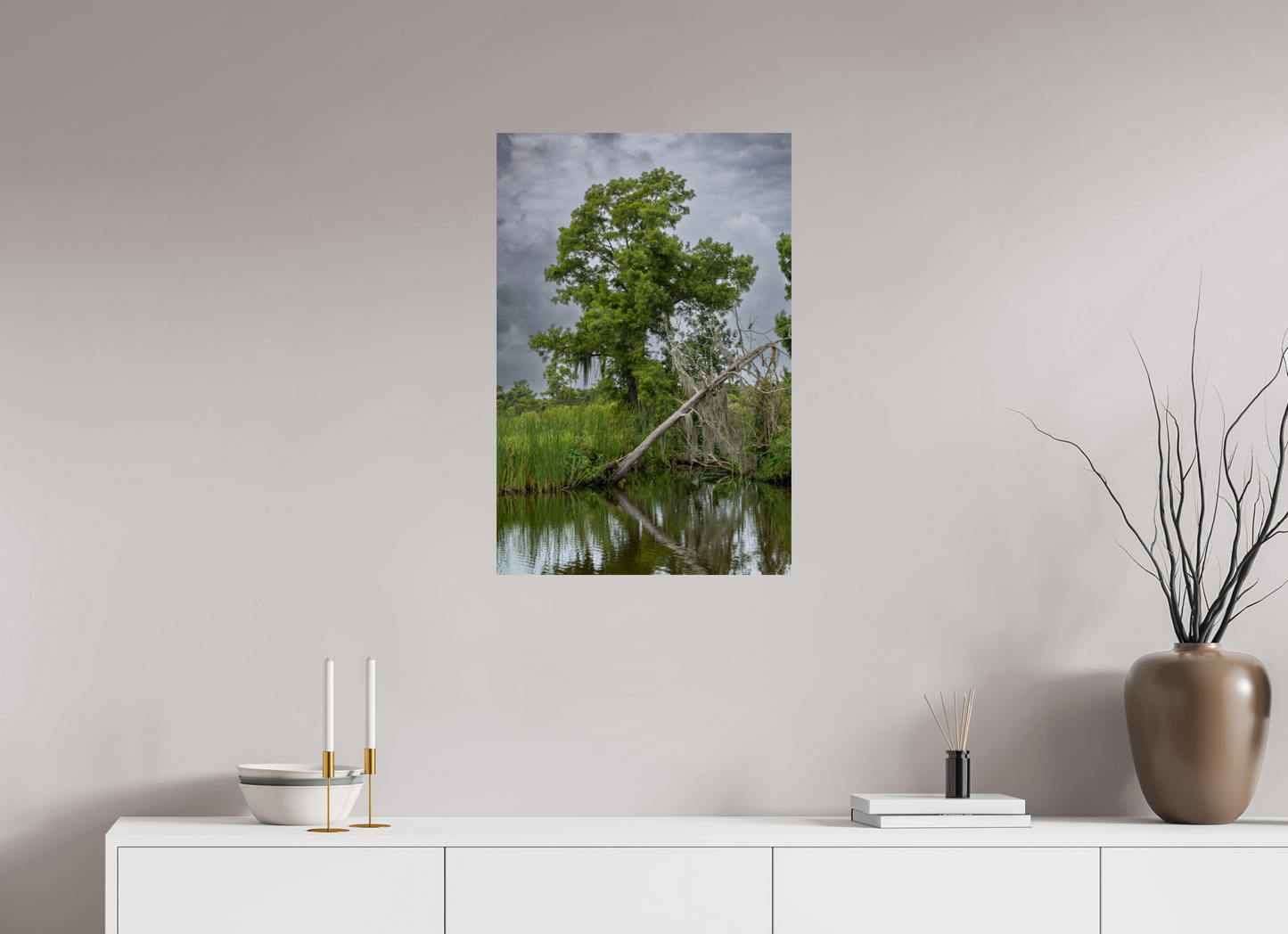Lafitte Swamp Cypress
