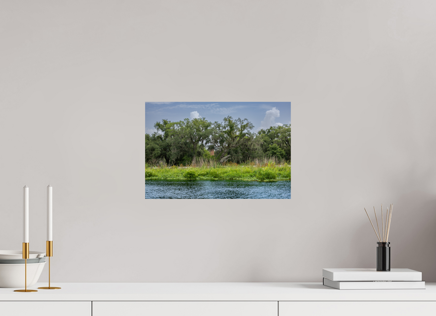 Lafitte Swamp with Visible Structure