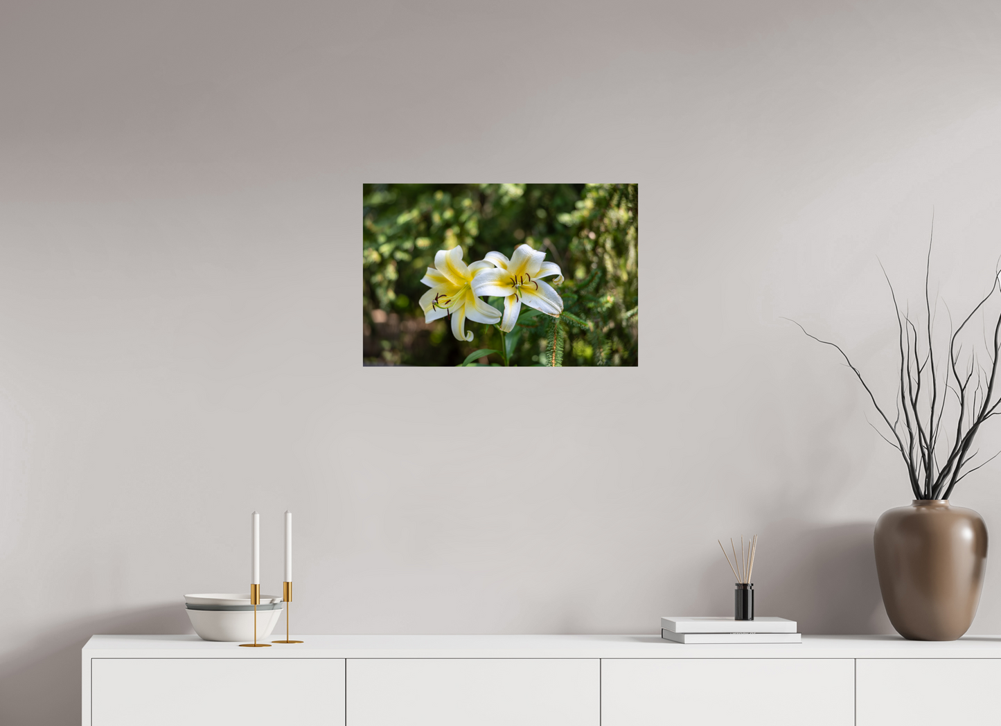 Gold Band Lily