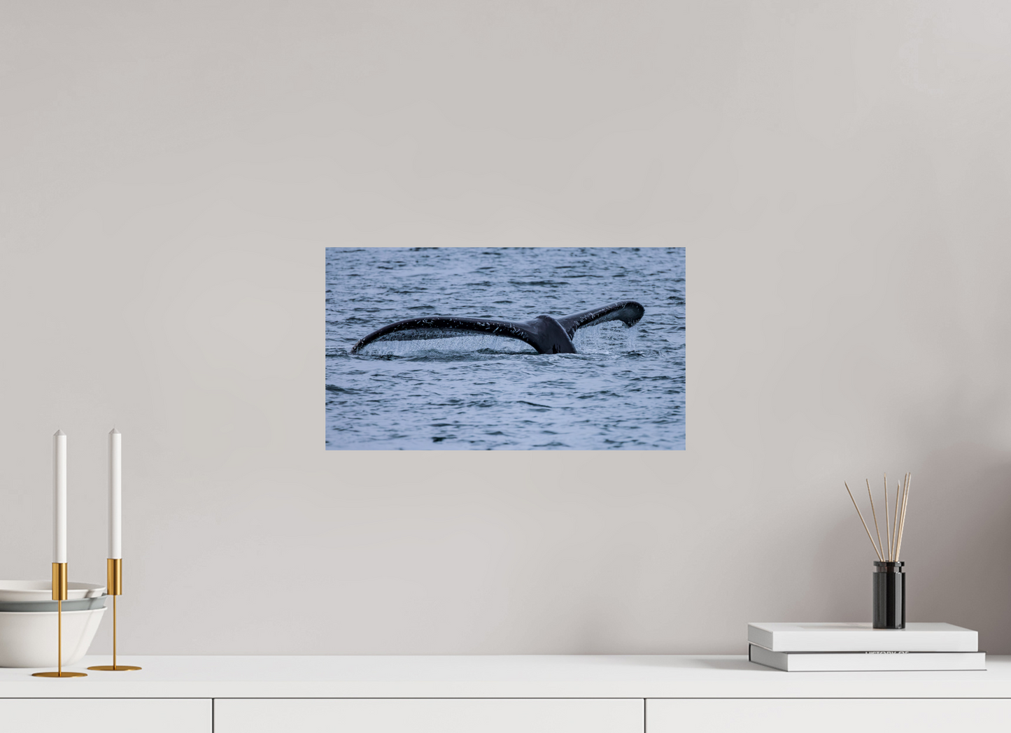 Whale Tail