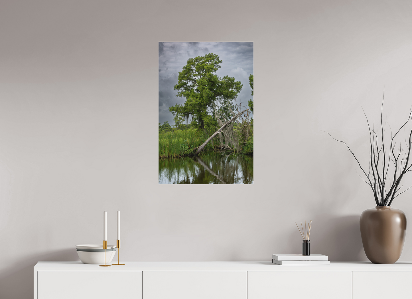 Lafitte Swamp Cypress