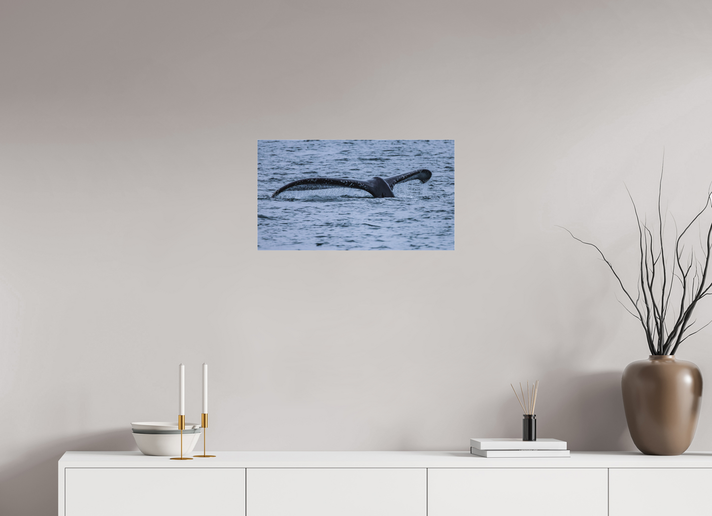 Whale Tail