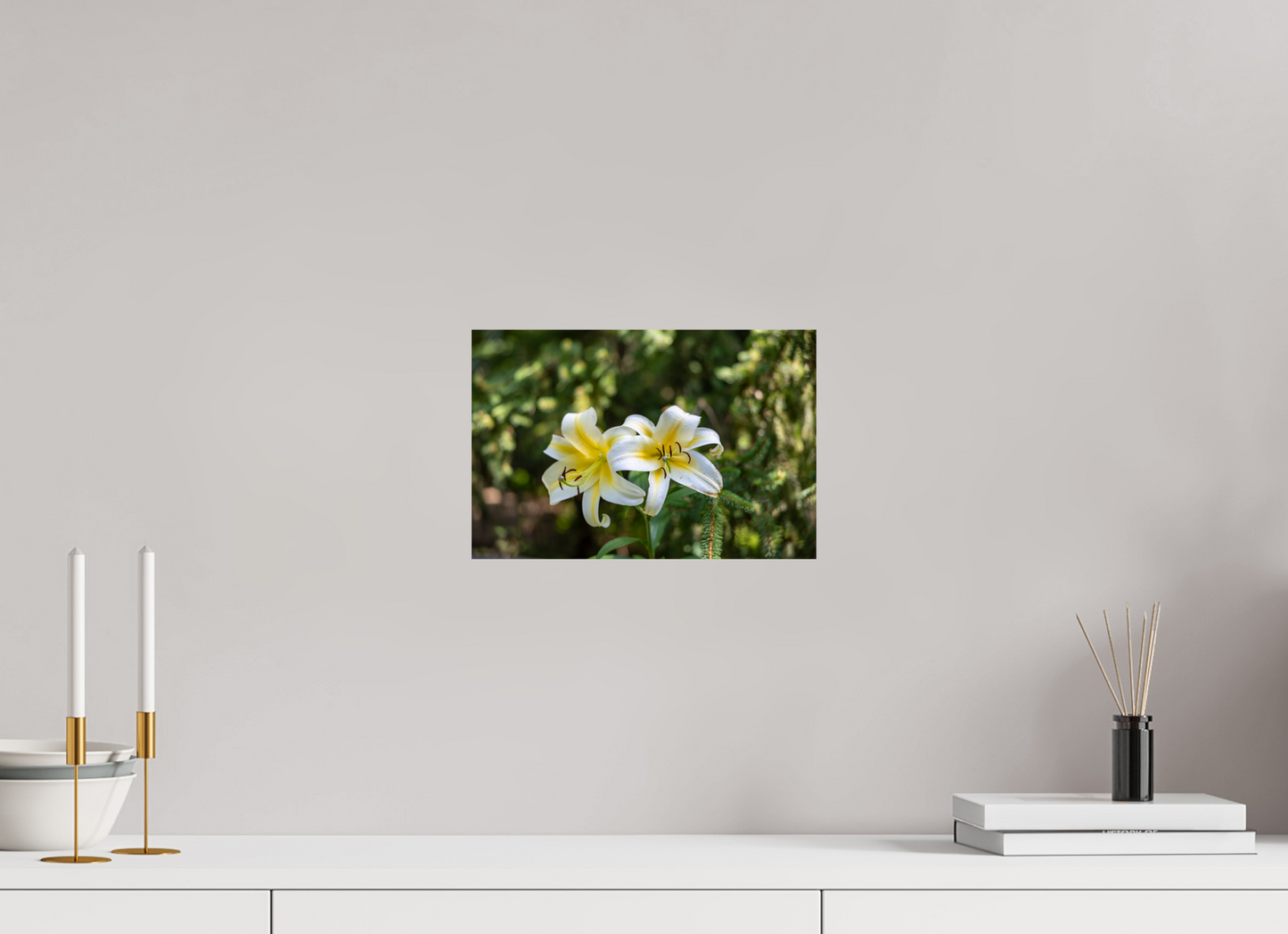 Gold Band Lily