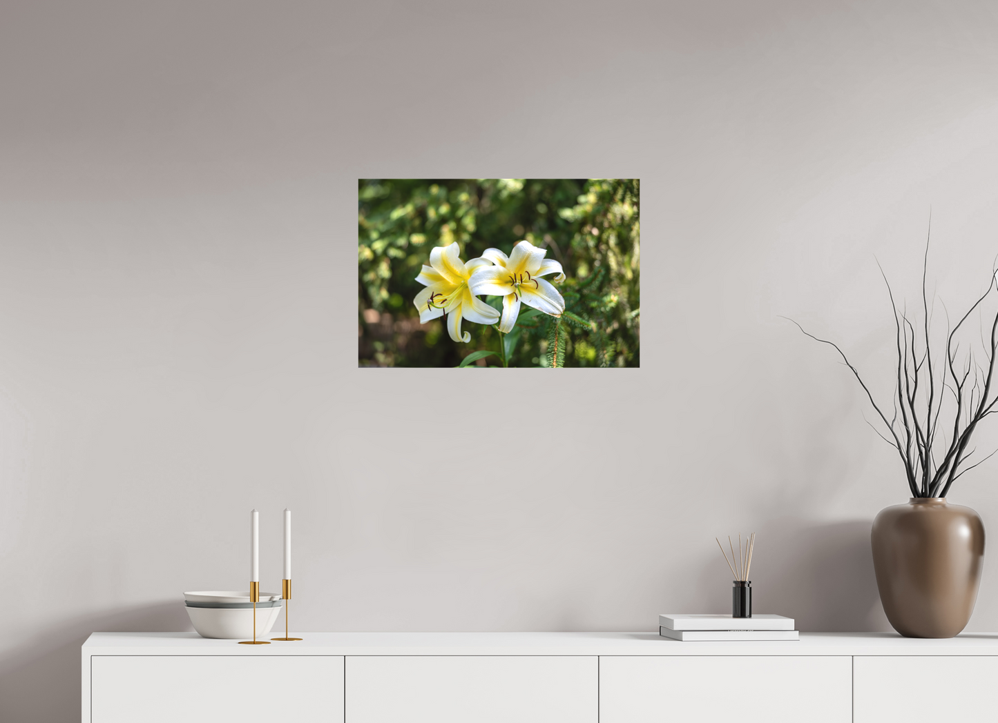 Gold Band Lily