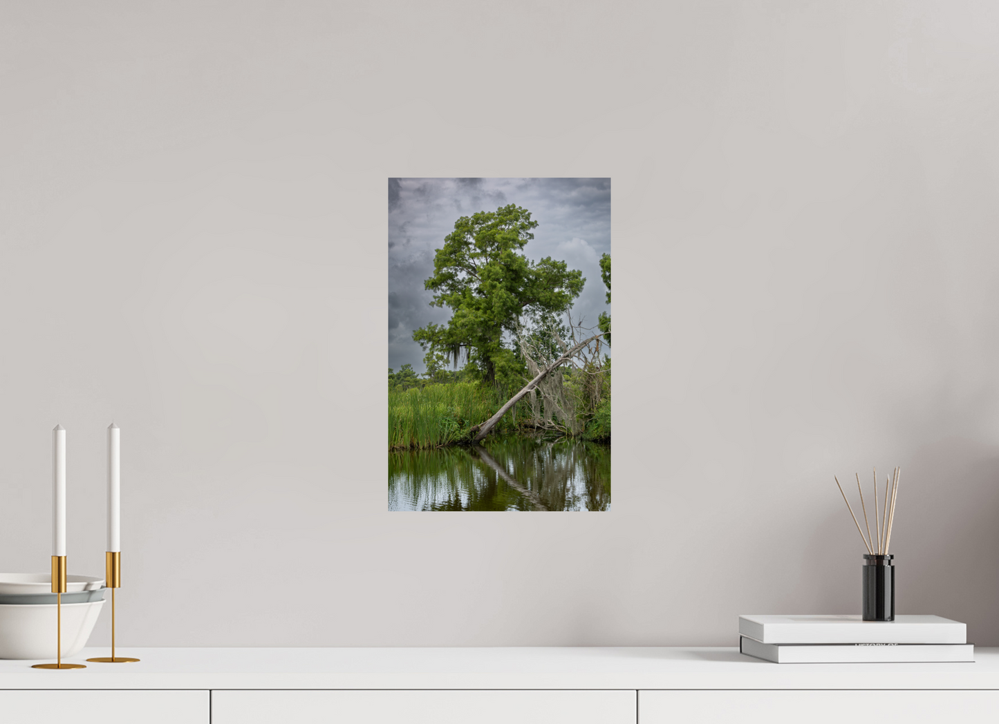 Lafitte Swamp Cypress