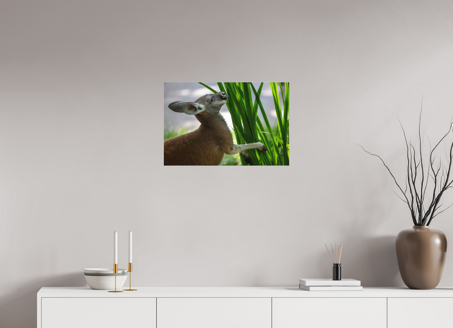 Kangaroo