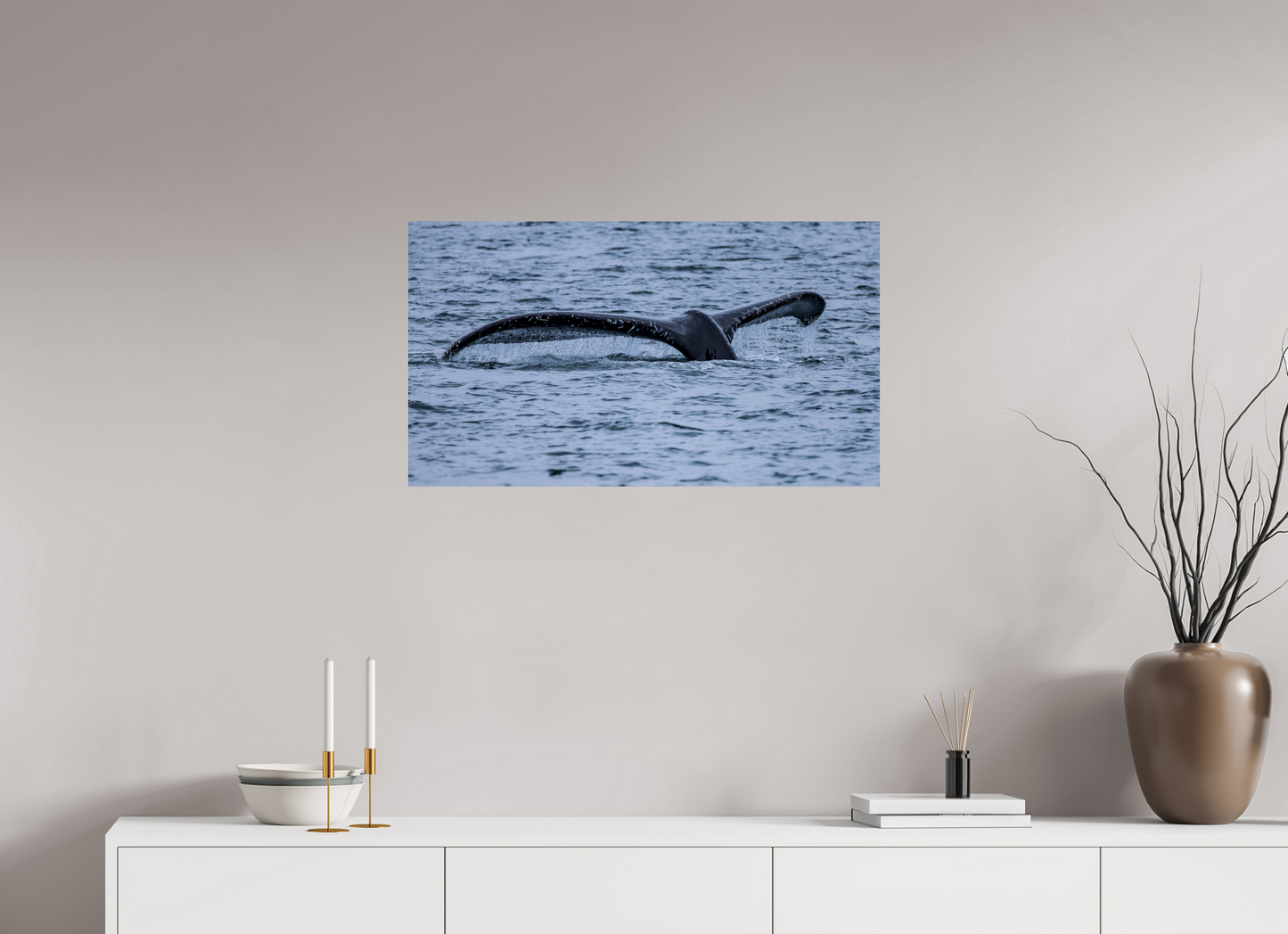 Whale Tail