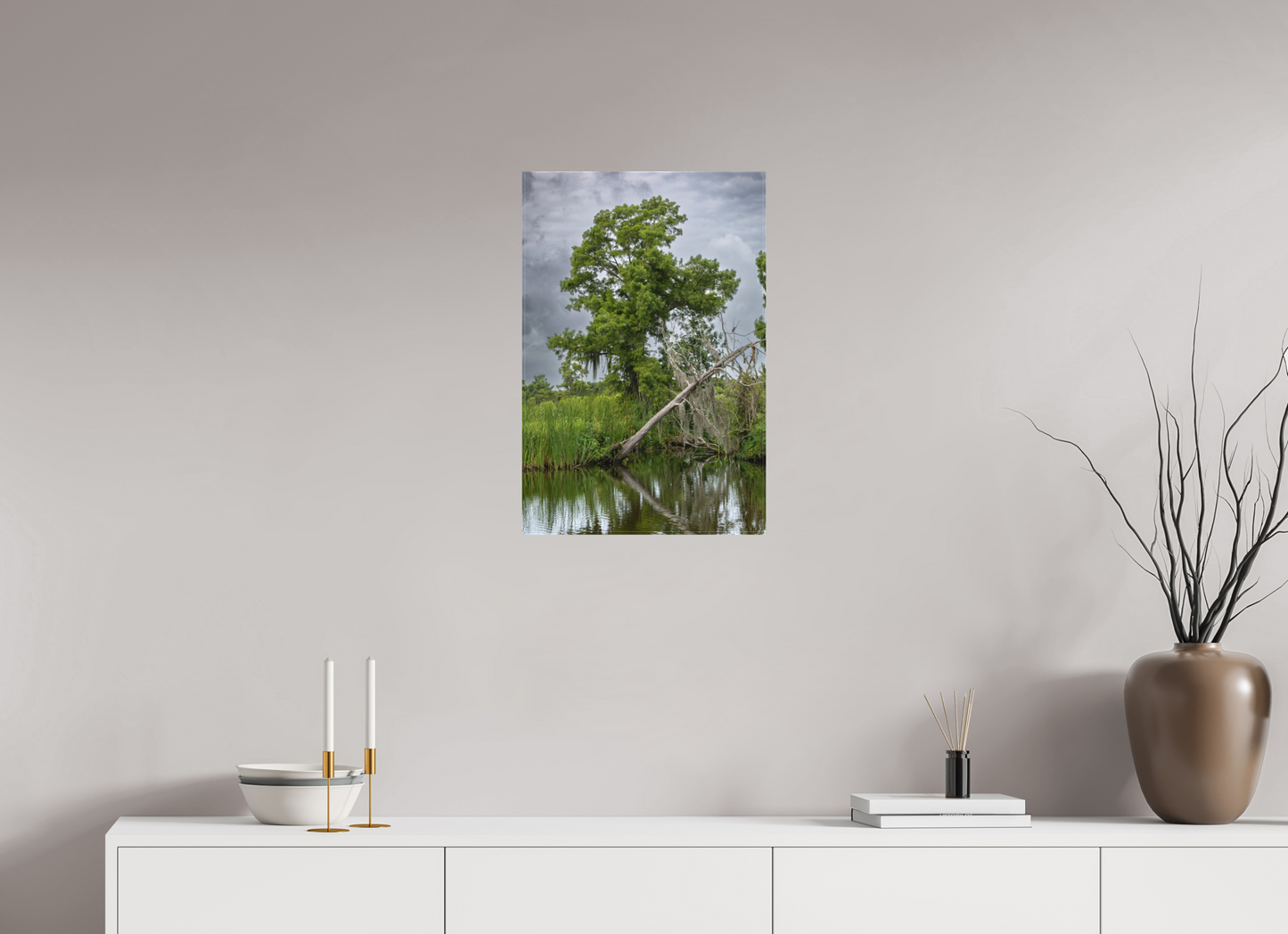 Lafitte Swamp Cypress