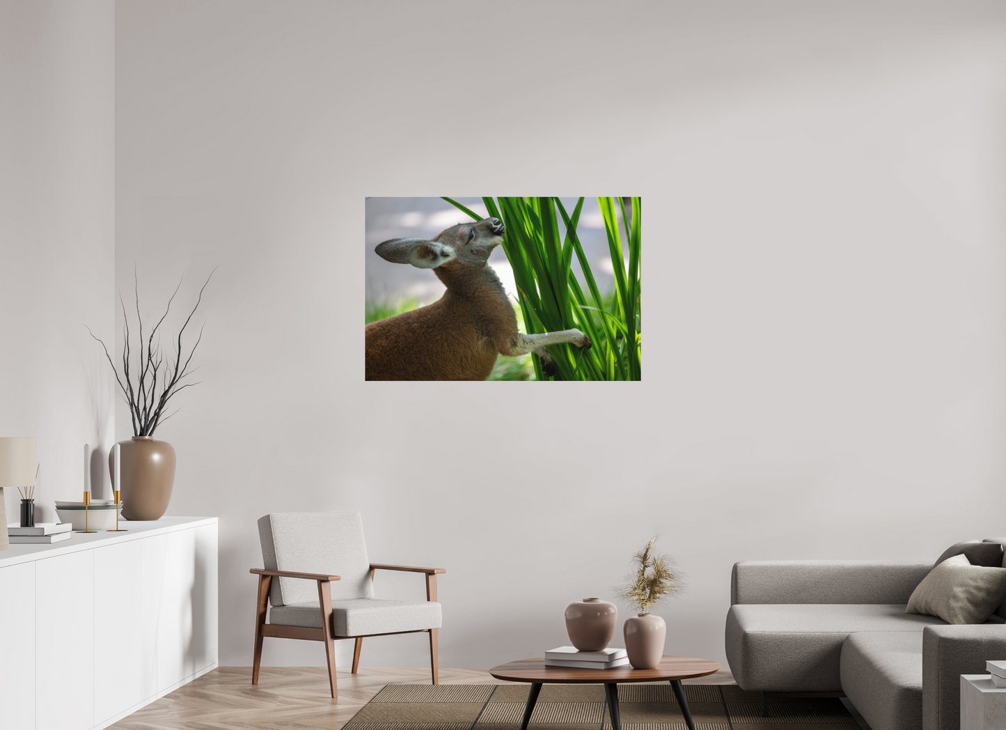 Kangaroo