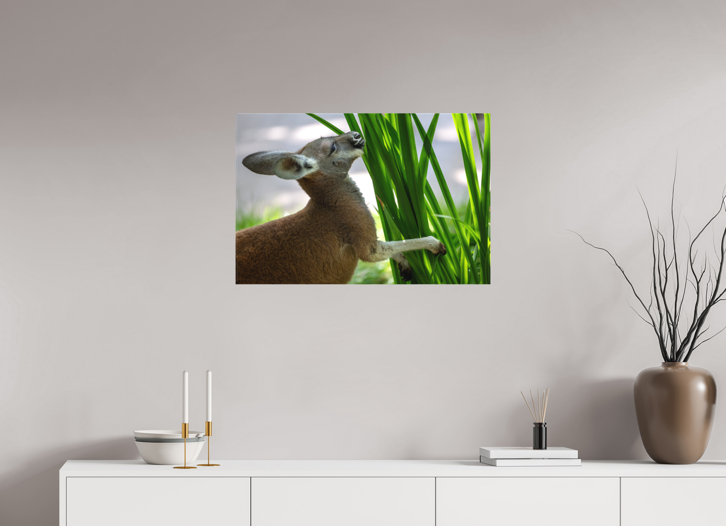 Kangaroo