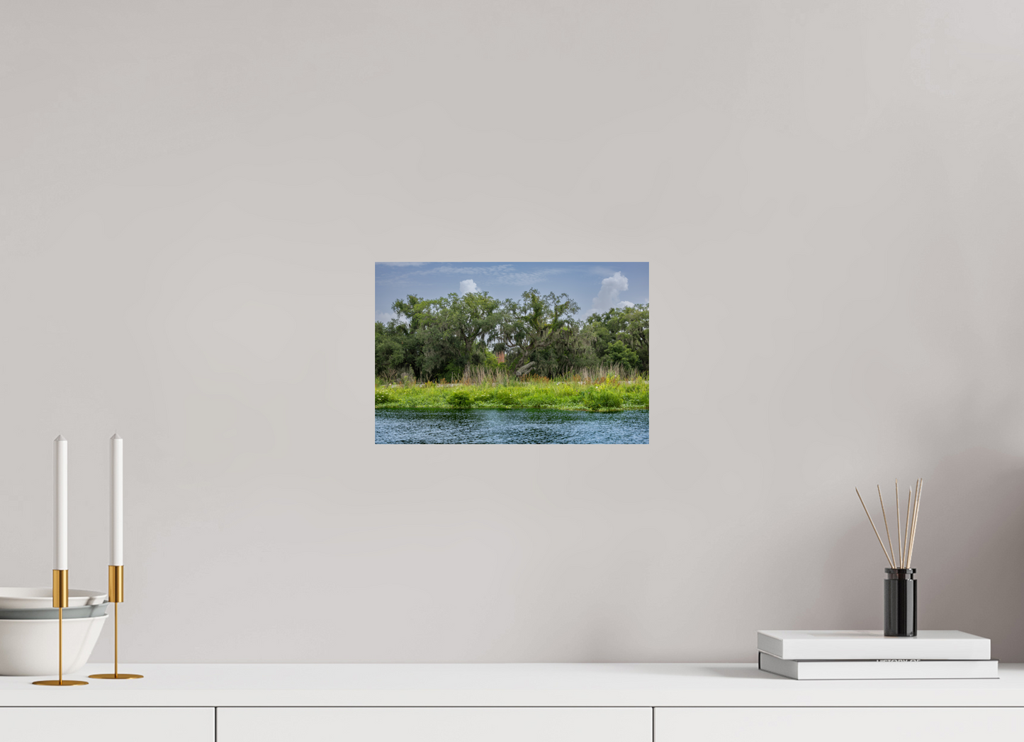Lafitte Swamp with Visible Structure