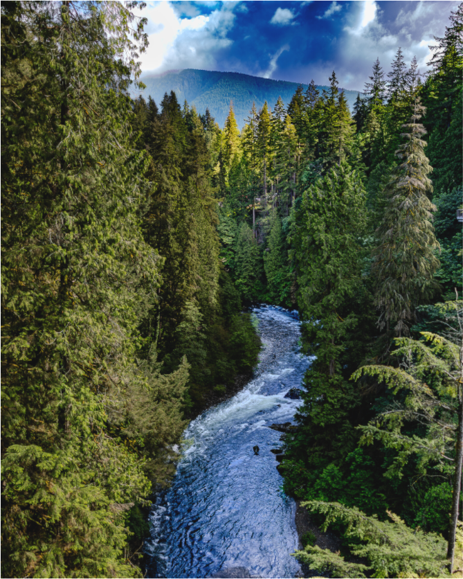 Capilano River