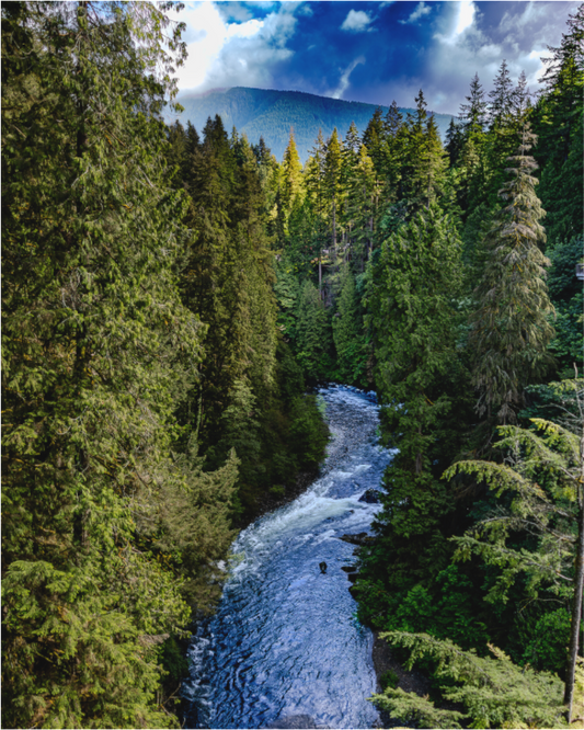 Capilano River