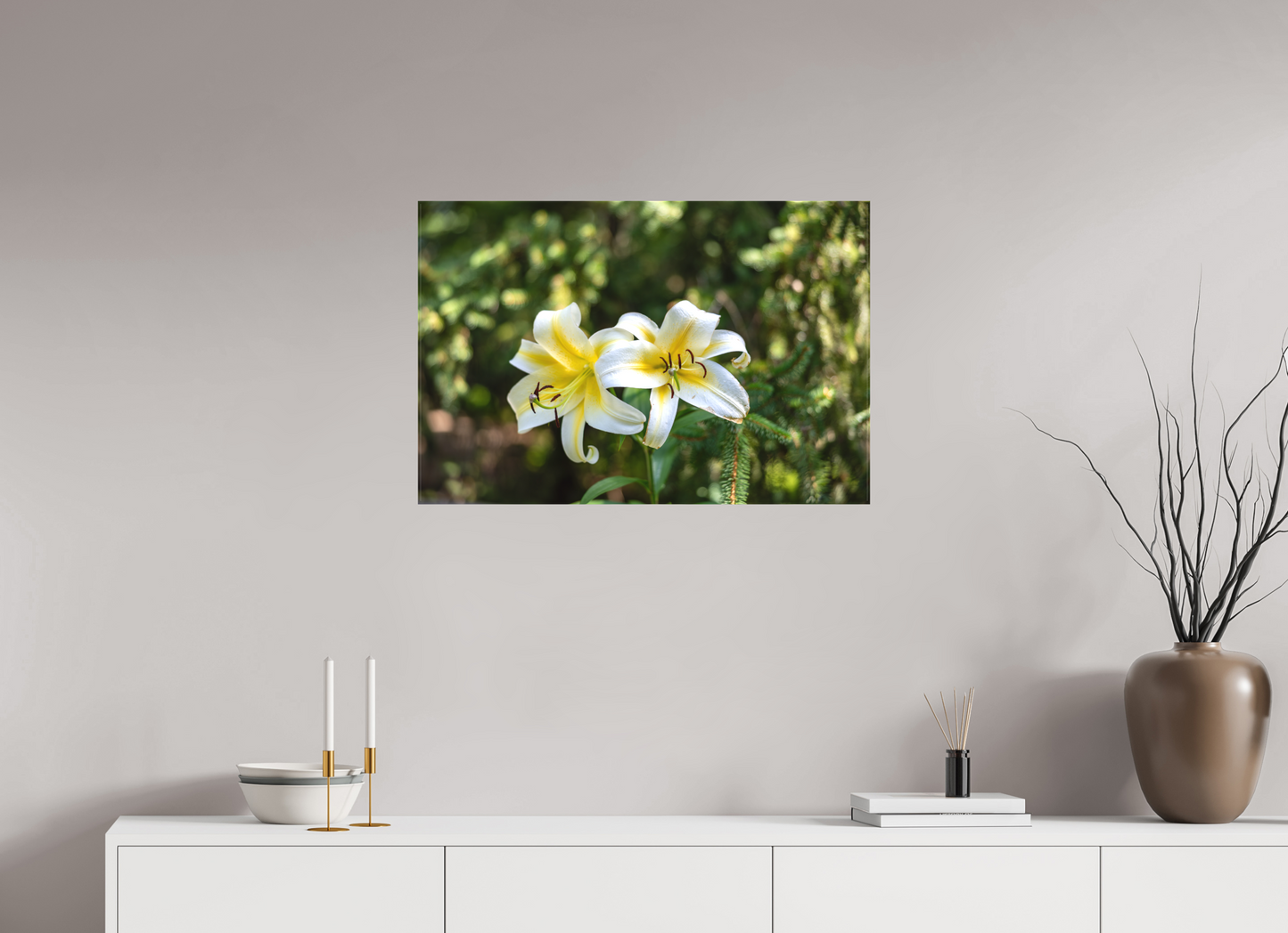 Gold Band Lily