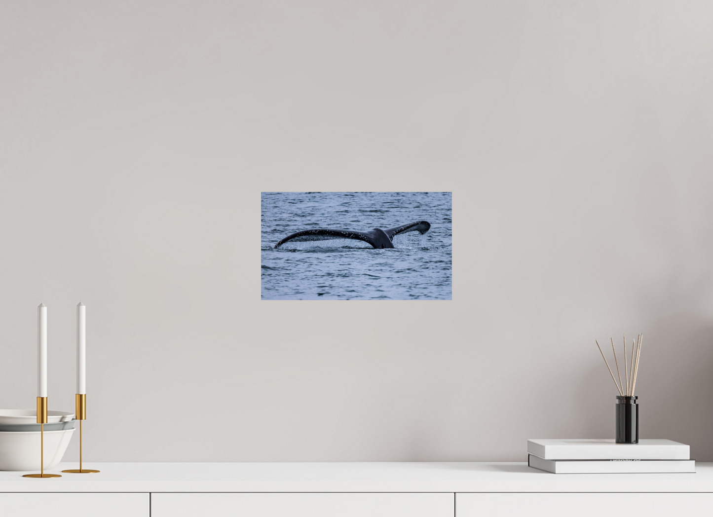 Whale Tail