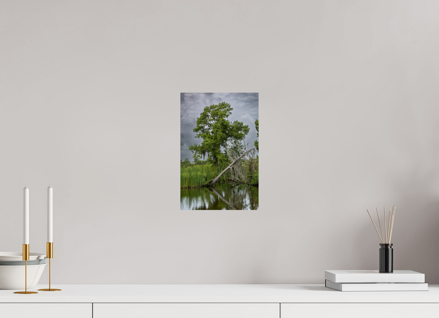 Lafitte Swamp Cypress