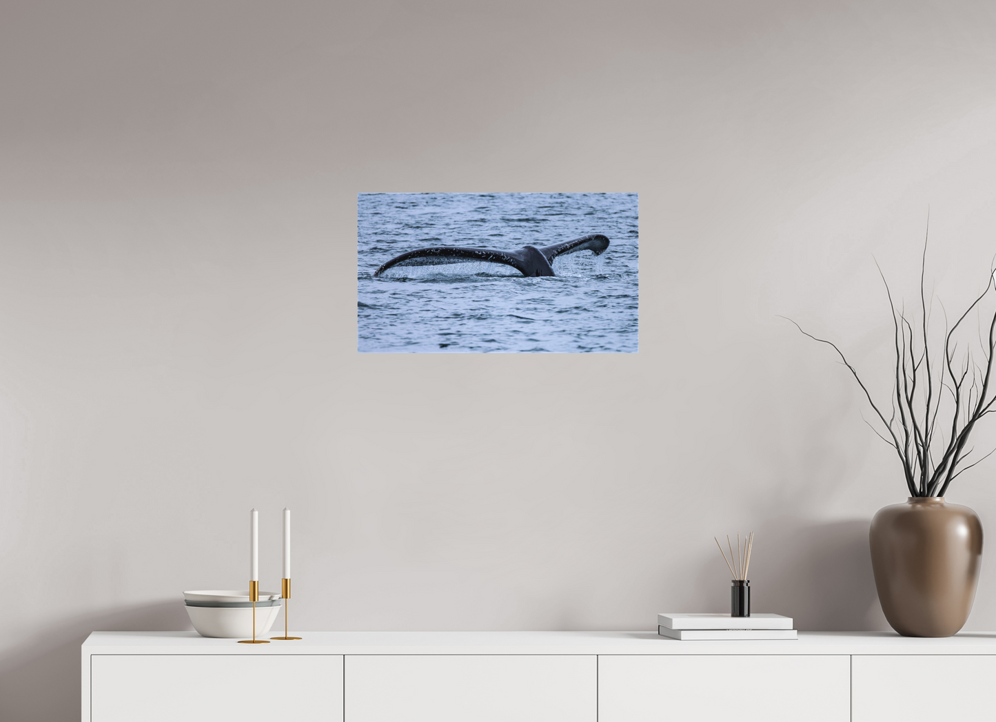 Whale Tail