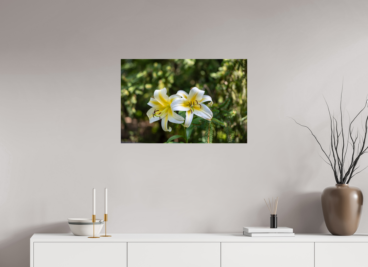 Gold Band Lily