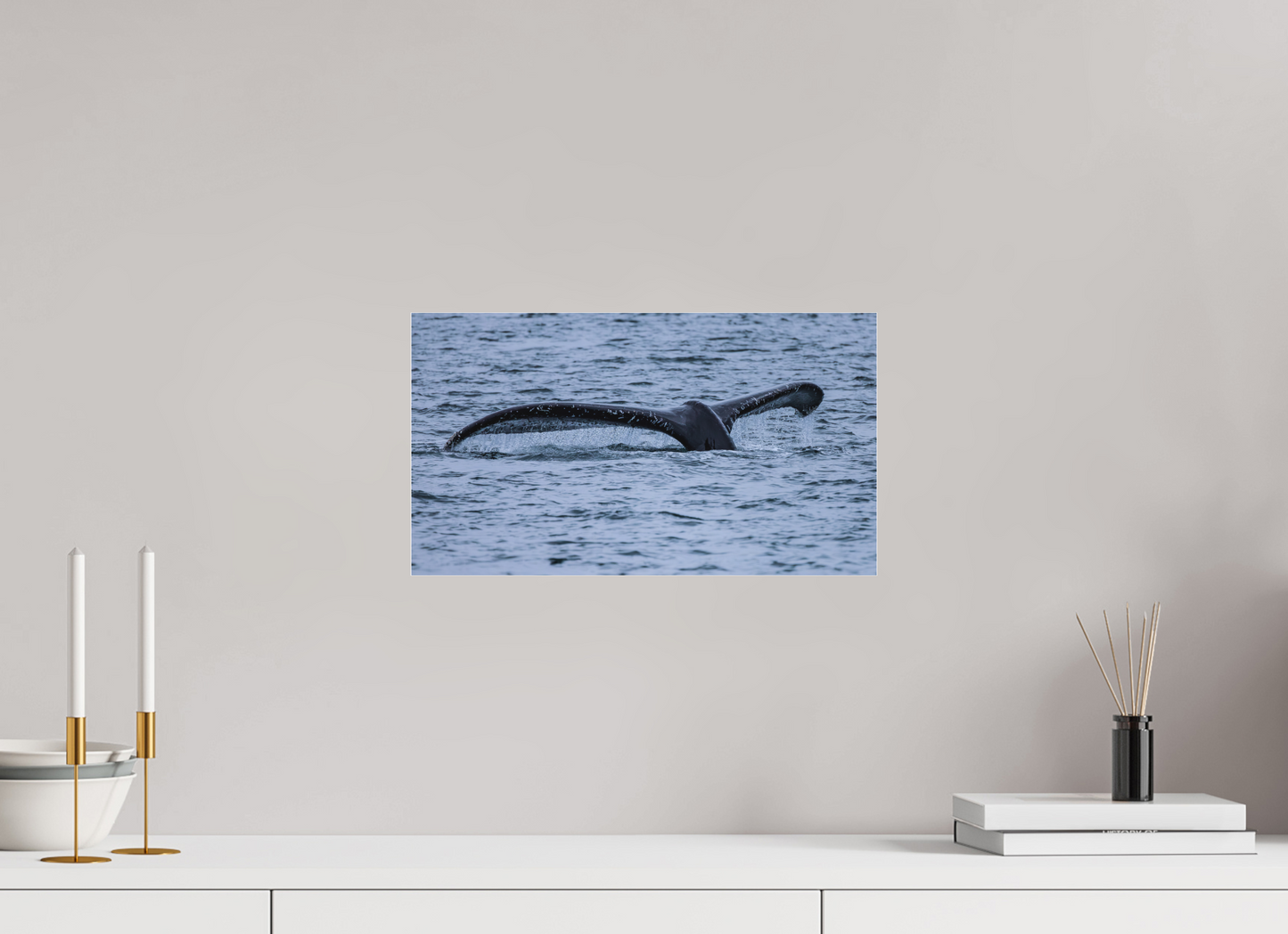 Whale Tail