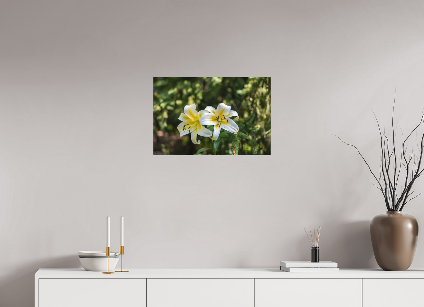 Gold Band Lily