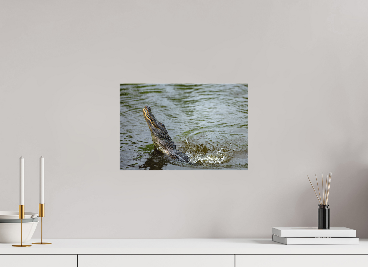 Jumping Gator