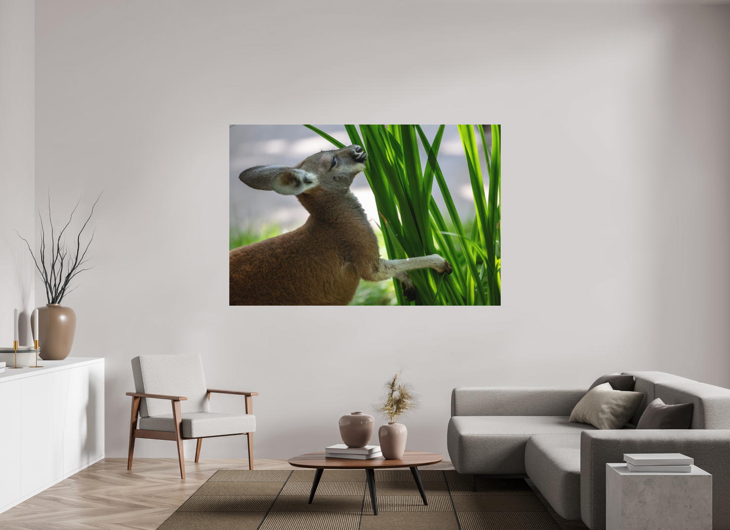 Kangaroo