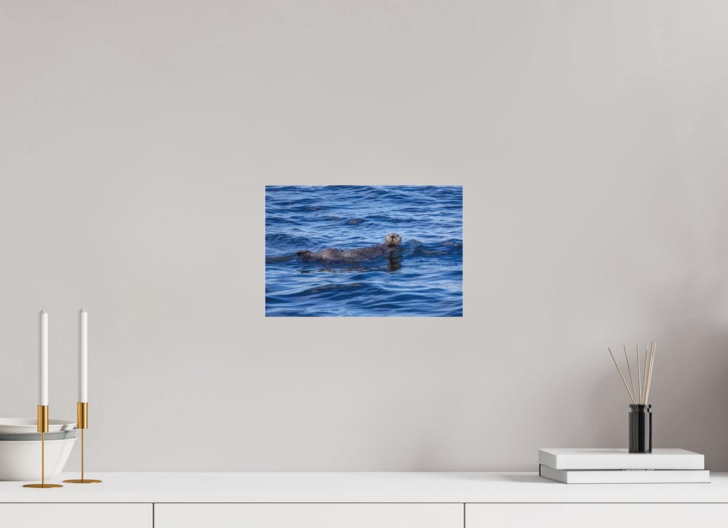 Sea Otter