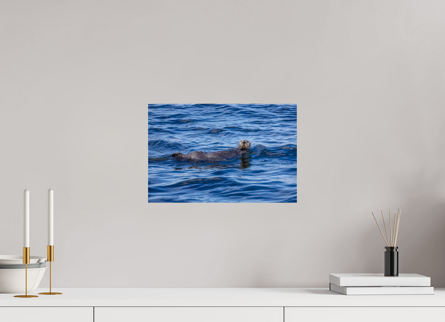 Sea Otter