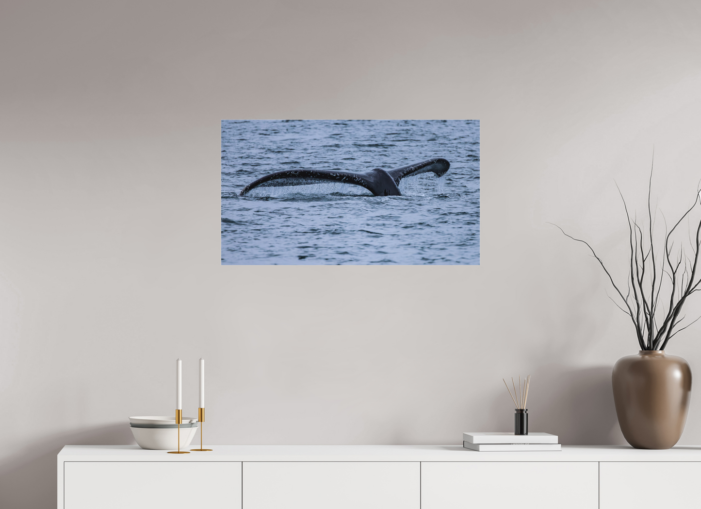 Whale Tail